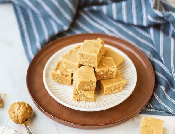 peanut butter fudge squares on plate